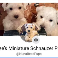 processed/6af415d6-4ce6-4e67-9519-bac2bd757d88/facility/f5753b3e-9cac-4e32-98f1-a052f4bd22bb