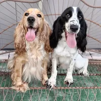 processed/6af7302e-c9aa-44ce-be3e-028208a9009c/facility/5e0a7f04-4932-4fdb-b028-91f39b4fa0ff