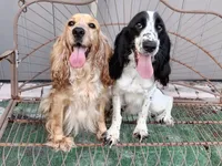 processed/6af7302e-c9aa-44ce-be3e-028208a9009c/facility/5e0a7f04-4932-4fdb-b028-91f39b4fa0ff