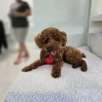 processed/6af7302e-c9aa-44ce-be3e-028208a9009c/facility/65ad493b-c8d9-4b75-bb52-e7d81aa73f80