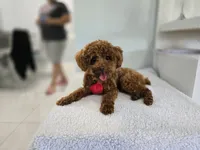 processed/6af7302e-c9aa-44ce-be3e-028208a9009c/facility/65ad493b-c8d9-4b75-bb52-e7d81aa73f80