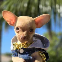 processed/6af7302e-c9aa-44ce-be3e-028208a9009c/facility/775eef5d-8e36-4806-a552-4752835c187f