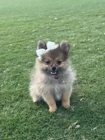 processed/6af7302e-c9aa-44ce-be3e-028208a9009c/listing/645b4b17-b540-408a-a8fc-97b317ecb183/9536e323-c81e-4178-bc5a-f926e37ca117