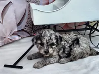 processed/6af7302e-c9aa-44ce-be3e-028208a9009c/listing/7f03cbd7-1909-43a9-91f7-5d28e8dce240/3b8f6382-36d8-4ae2-aaaa-fd293d802b0b