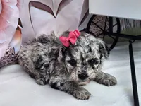 processed/6af7302e-c9aa-44ce-be3e-028208a9009c/listing/7f03cbd7-1909-43a9-91f7-5d28e8dce240/7535033e-1830-4513-a7a6-03306d686ea1