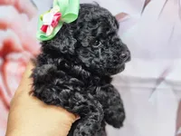 processed/6af7302e-c9aa-44ce-be3e-028208a9009c/listing/9e651c0f-acb0-4117-bd8f-d4e22bab1e14/680bae11-87a6-497f-b256-8ef7a1b5b15d