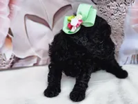 processed/6af7302e-c9aa-44ce-be3e-028208a9009c/listing/9e651c0f-acb0-4117-bd8f-d4e22bab1e14/9323cc49-cfb7-4c07-a06b-6c9925fd07e5