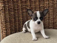 processed/6af7302e-c9aa-44ce-be3e-028208a9009c/listing/aff608c2-6243-4da7-a4ba-23a377cd4ed3/b60ee906-90e8-4933-af73-011a52dd5f8c