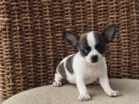 processed/6af7302e-c9aa-44ce-be3e-028208a9009c/listing/aff608c2-6243-4da7-a4ba-23a377cd4ed3/f2f4ff4a-85f5-4acb-80bd-a6956e547073