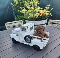Chip, a male Poodle - Toy  for sale in Naples, FL – 1 of 3