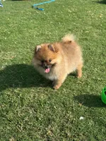 processed/6af7302e-c9aa-44ce-be3e-028208a9009c/listing/c98b31c7-a681-4015-90a7-64e506dc5138/56cf21aa-7112-40c3-8660-c64ad2663714