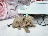 processed/6af7302e-c9aa-44ce-be3e-028208a9009c/listing/e5cbdff4-c31f-4ea8-97d3-2a2fd9922390/0ff012b9-8ba2-4182-ab5d-23fa038a1a63