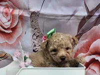 processed/6af7302e-c9aa-44ce-be3e-028208a9009c/listing/e5cbdff4-c31f-4ea8-97d3-2a2fd9922390/97a81286-77c4-4530-9315-08e5596a1e08