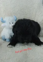 processed/6afb64c8-04b2-4984-a700-2439a733803a/listing/869d5e8a-bf44-42da-a06a-b946926ac2db/67b256d3-57a6-4f14-855a-1f008b24d74e