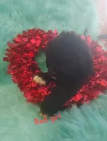 processed/6afb64c8-04b2-4984-a700-2439a733803a/listing/869d5e8a-bf44-42da-a06a-b946926ac2db/ce2037a6-b83f-4065-9349-f5a410891121