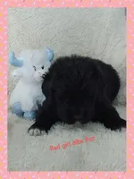 processed/6afb64c8-04b2-4984-a700-2439a733803a/listing/869d5e8a-bf44-42da-a06a-b946926ac2db/f6dd1a0e-c5e9-4550-8136-9d7b95885562