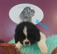 processed/6afb64c8-04b2-4984-a700-2439a733803a/listing/8741102e-1cf5-4e01-acb8-05609404a93d/01f4f8c0-7a25-41d9-b320-18822bd75627