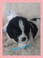 processed/6afb64c8-04b2-4984-a700-2439a733803a/listing/8741102e-1cf5-4e01-acb8-05609404a93d/6425d3cc-05e5-4c4f-b77c-5b97b8191ba7