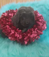 processed/6afb64c8-04b2-4984-a700-2439a733803a/listing/9754a25f-9157-4eef-bd06-ba5f1acff870/0d6e1b31-6664-4b92-9226-0e8e532b27d9