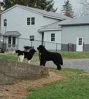 processed/6afb64c8-04b2-4984-a700-2439a733803a/listing/9754a25f-9157-4eef-bd06-ba5f1acff870/0f46efcc-6cfa-45e8-9bca-64247870e5a9