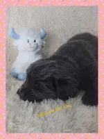 processed/6afb64c8-04b2-4984-a700-2439a733803a/listing/9754a25f-9157-4eef-bd06-ba5f1acff870/f9c378cc-a75f-405a-92a7-b9cf7783fc01