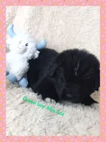 processed/6afb64c8-04b2-4984-a700-2439a733803a/listing/ba06980e-f666-4ac1-9979-9839160c3163/0d99686e-c0d2-4fd4-b246-2da15a11caaa