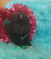 processed/6afb64c8-04b2-4984-a700-2439a733803a/listing/ba06980e-f666-4ac1-9979-9839160c3163/e976630e-f94f-4e02-952e-9ffa2d0f18bc