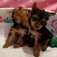 processed/6b0975b5-d3df-41b7-befa-0e4fb433b394/facility/2053121d-1de5-4f8f-b034-efeb2d860256