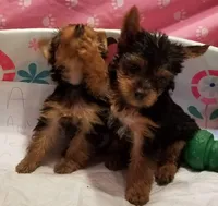 processed/6b0975b5-d3df-41b7-befa-0e4fb433b394/facility/2053121d-1de5-4f8f-b034-efeb2d860256