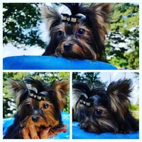 processed/6b0975b5-d3df-41b7-befa-0e4fb433b394/facility/52bb062a-3148-4a45-a499-d303a4ee6103