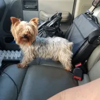 processed/6b0975b5-d3df-41b7-befa-0e4fb433b394/facility/618936ed-df7d-46af-a07a-7becaa256bb9