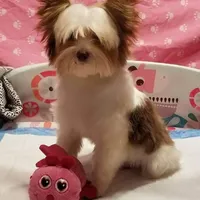 processed/6b0975b5-d3df-41b7-befa-0e4fb433b394/facility/f1b635b7-5a9d-49de-ade2-fba9c0d2175f