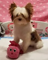 processed/6b0975b5-d3df-41b7-befa-0e4fb433b394/facility/f1b635b7-5a9d-49de-ade2-fba9c0d2175f