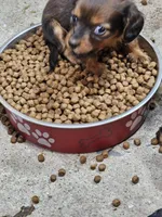 Facility photo