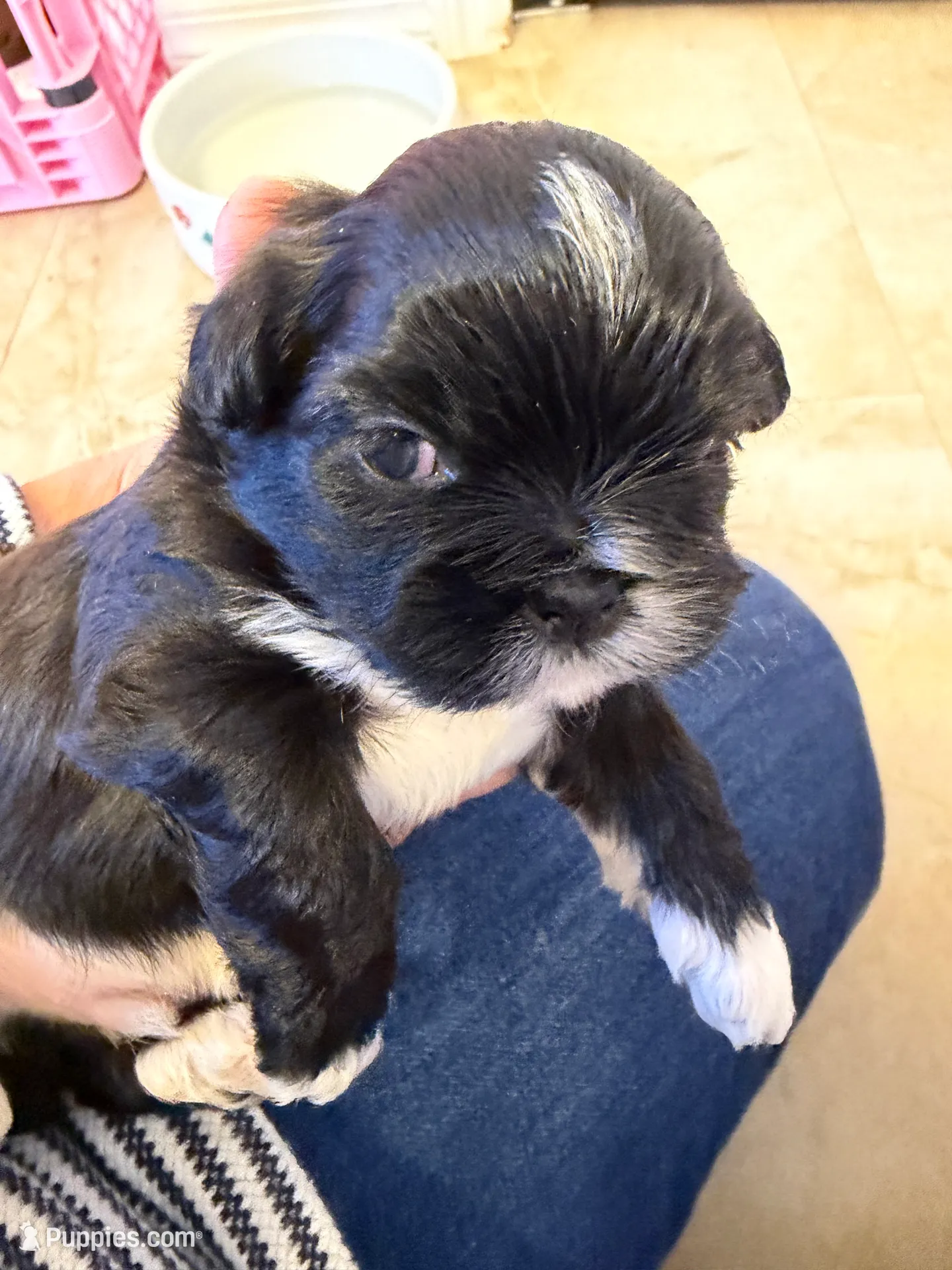 processed/6b1dc365-59b2-4a8b-8f2f-2cecdb8bd3e2/listing/5f1811d5-3987-45fb-a500-479601ccd19c/452706c9-2bd9-4911-9567-2ae7cdf9f7f1