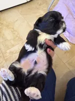 processed/6b1dc365-59b2-4a8b-8f2f-2cecdb8bd3e2/listing/5f1811d5-3987-45fb-a500-479601ccd19c/906cbfa1-cbf3-45aa-ba5f-e350e5b24907