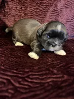 processed/6b1dc365-59b2-4a8b-8f2f-2cecdb8bd3e2/listing/5f1811d5-3987-45fb-a500-479601ccd19c/dccc8ecf-a5c3-4b8b-a924-7ee7261549bc