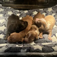 processed/6b2f9a8d-20f0-4dc8-941f-1e8dd838aa52/facility/43708b24-3e22-4967-83fc-f2452c92644a