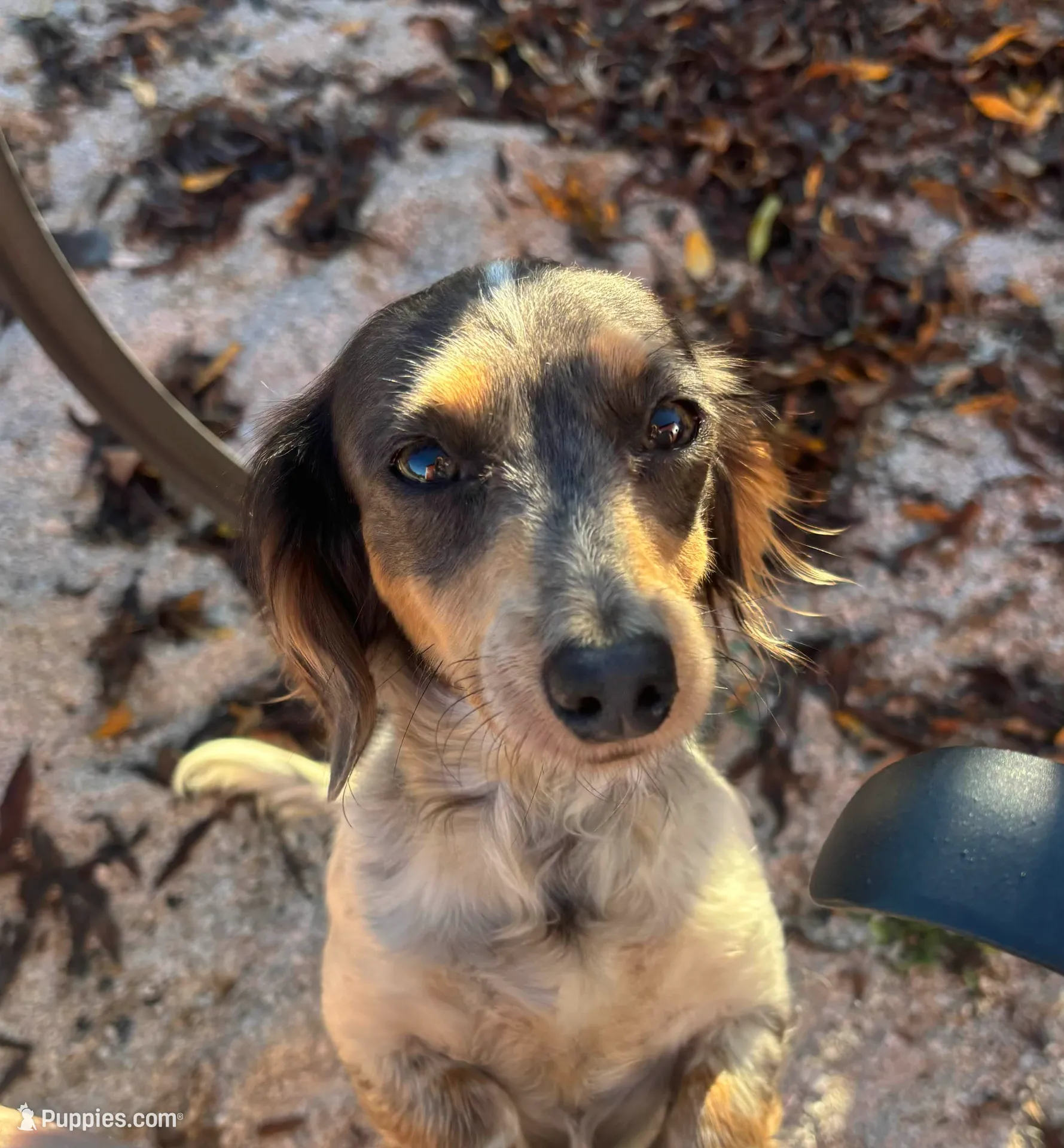 processed/6b2f9a8d-20f0-4dc8-941f-1e8dd838aa52/facility/4ef4c4f2-84c0-4949-8fa1-6ca2e4538ca9