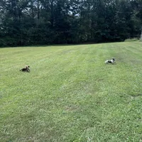 processed/6b2f9a8d-20f0-4dc8-941f-1e8dd838aa52/facility/87ef663f-e0fc-4c5a-bf8a-2be3c25647a7