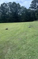 processed/6b2f9a8d-20f0-4dc8-941f-1e8dd838aa52/facility/87ef663f-e0fc-4c5a-bf8a-2be3c25647a7