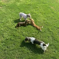 processed/6b2f9a8d-20f0-4dc8-941f-1e8dd838aa52/facility/91b91665-4d34-4ee7-8c77-c224d5d106f1