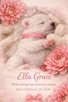 Ella Grace, a  American Eskimo for sale in Dallas, GA – Photo 2 of 8