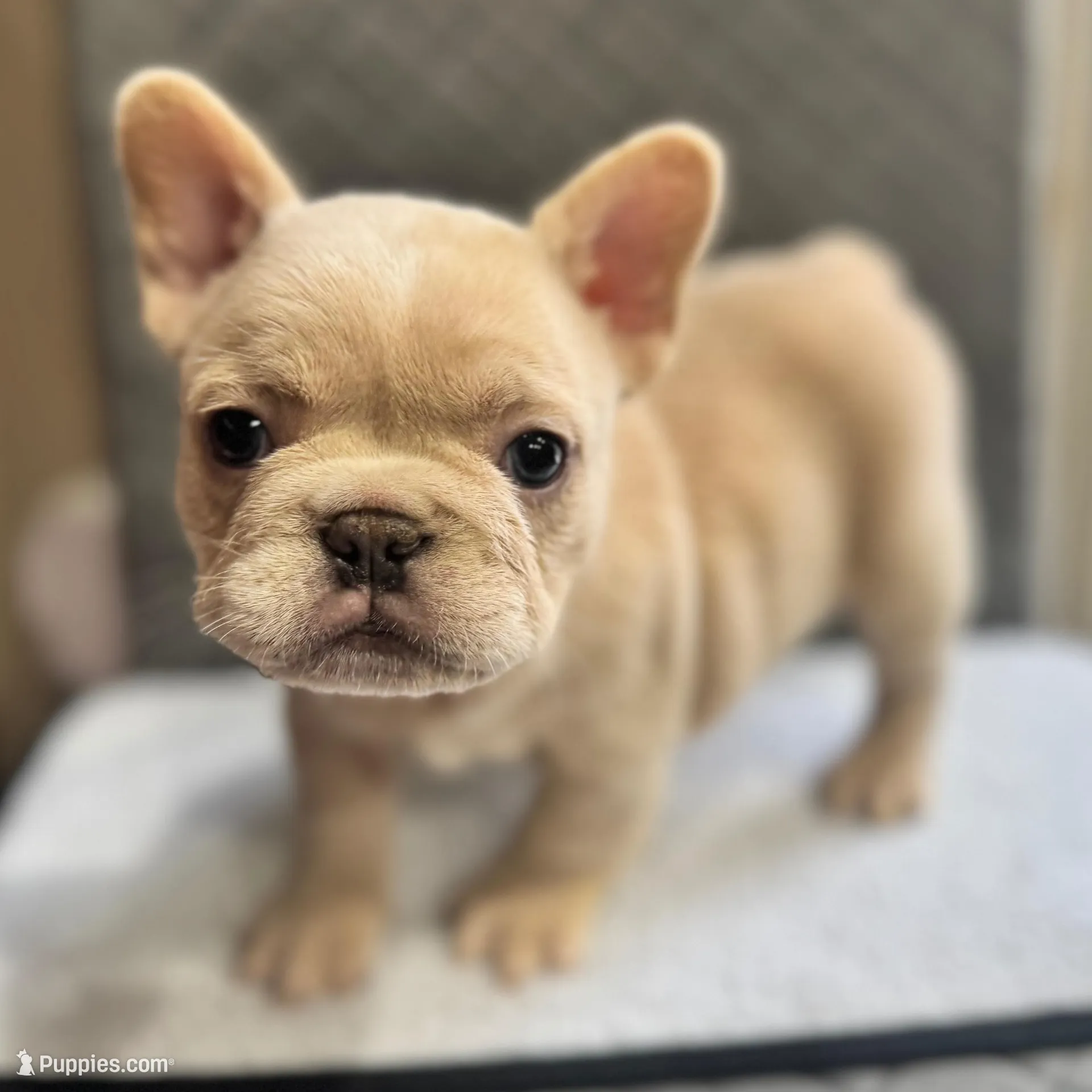 processed/6b3c46e3-6bb4-44b2-95a3-5e15bb979281/listing/b5d41ea8-8921-44f7-929c-bb248e79ed11/309f3284-502c-4ecf-89ff-60ab16960e97