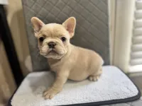 processed/6b3c46e3-6bb4-44b2-95a3-5e15bb979281/listing/b5d41ea8-8921-44f7-929c-bb248e79ed11/4492ce84-d7ea-45a1-aa94-1873ea005dbf