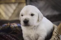 processed/6b4592ea-b665-43e4-ae4b-5534e48ca0a1/listing/1f3291ca-e4d7-42b4-8a92-5c2a2ddc46a9/56932ae9-81d5-42bc-a40c-094770639143