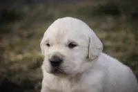 processed/6b4592ea-b665-43e4-ae4b-5534e48ca0a1/listing/1f3291ca-e4d7-42b4-8a92-5c2a2ddc46a9/805dd8ed-66e4-4c17-88db-239e550f06f3