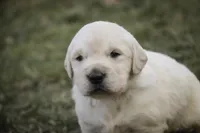 processed/6b4592ea-b665-43e4-ae4b-5534e48ca0a1/listing/1f3291ca-e4d7-42b4-8a92-5c2a2ddc46a9/826a6daa-1619-46a7-a1dc-d5fa93293046