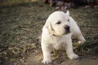 processed/6b4592ea-b665-43e4-ae4b-5534e48ca0a1/listing/1f3291ca-e4d7-42b4-8a92-5c2a2ddc46a9/eb6c70f7-3202-47df-aae6-8c153b3b93d3