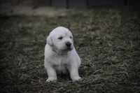 processed/6b4592ea-b665-43e4-ae4b-5534e48ca0a1/listing/6a82d8bd-81ca-4109-ae8f-af16e593a5d8/29e0f055-4698-4ed0-8cd2-69548914106a